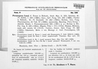 Image Associated With the Occurence